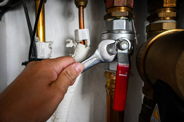 Best Toilet Repair Services  in Lake Goodwin, WA